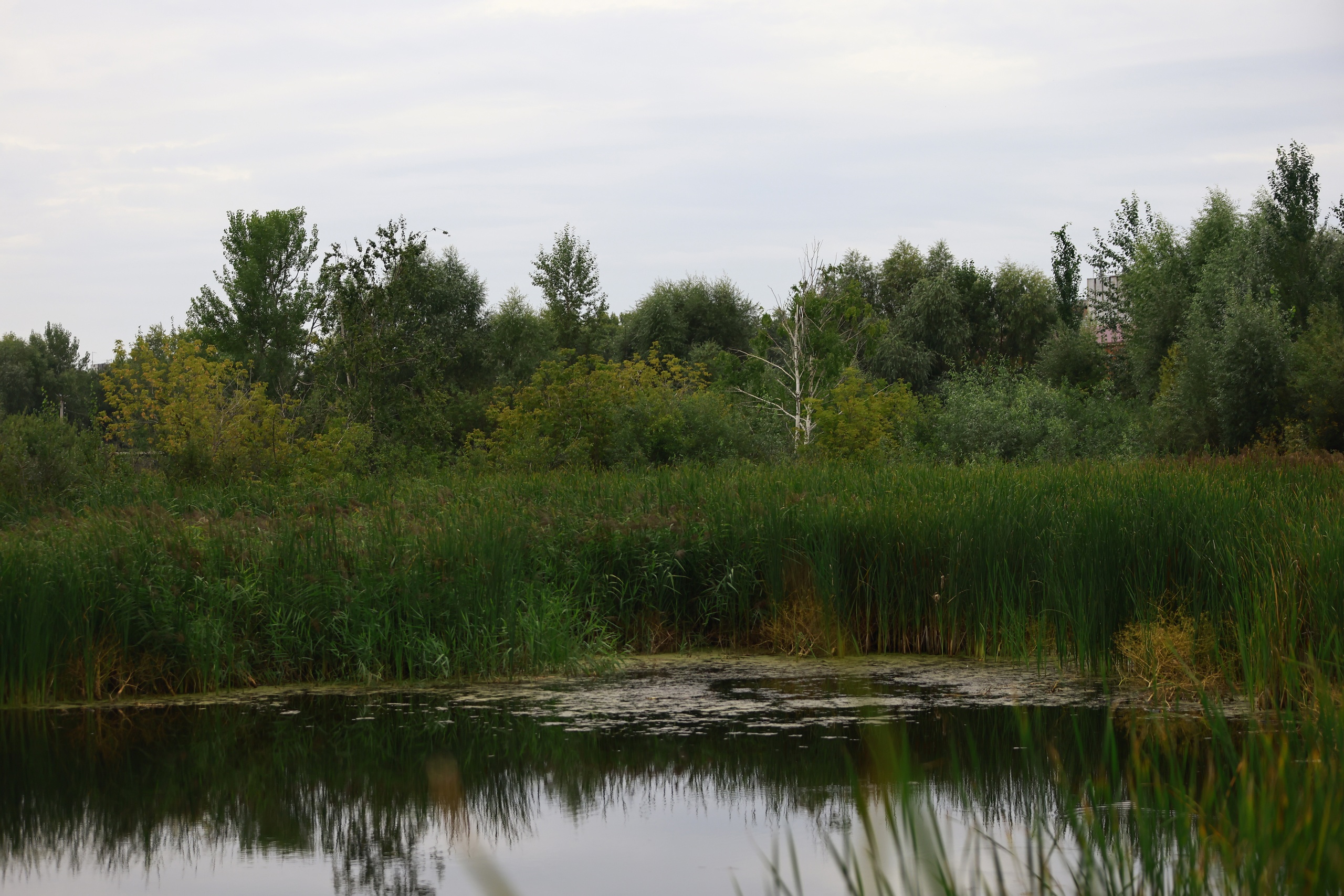 У татарстанца изъяли пол мешка незаконно выловленной рыбы