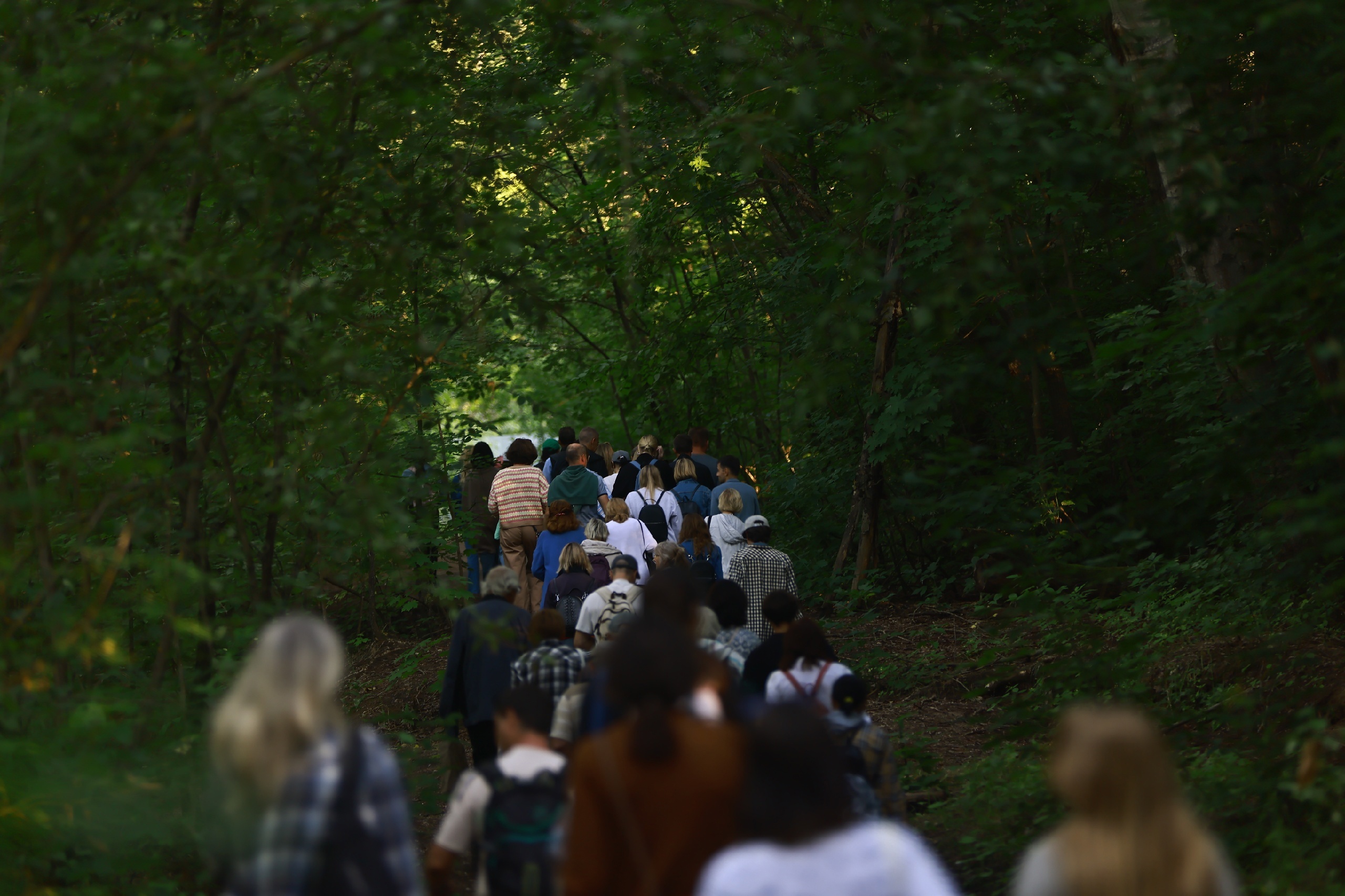 На сохранение лесов Татарстана потратили 117 млн рублей