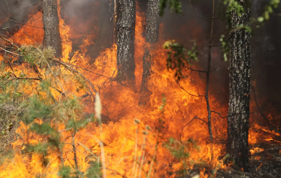 Из-за угрозы лесных пожаров в Татарстане продлили штормовое предупреждение