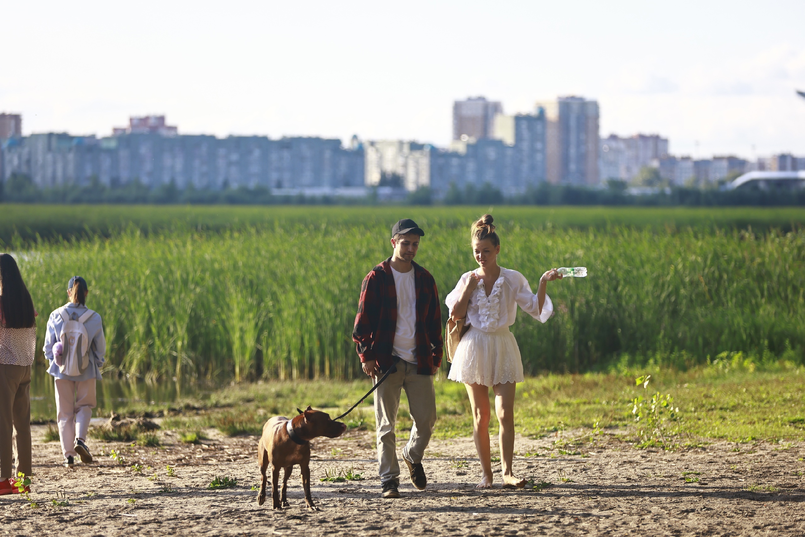 Вильфанд заявил, что 2024 год планируют признать самым теплым в истории России