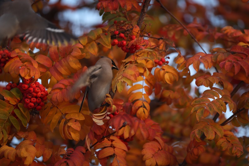 Татарстан вошел в десятку самых красивых регионов осенью