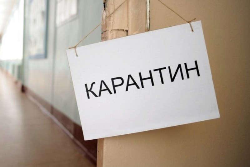 В семи регионах России ввели карантин в школах из-за гриппа и ОРВИ