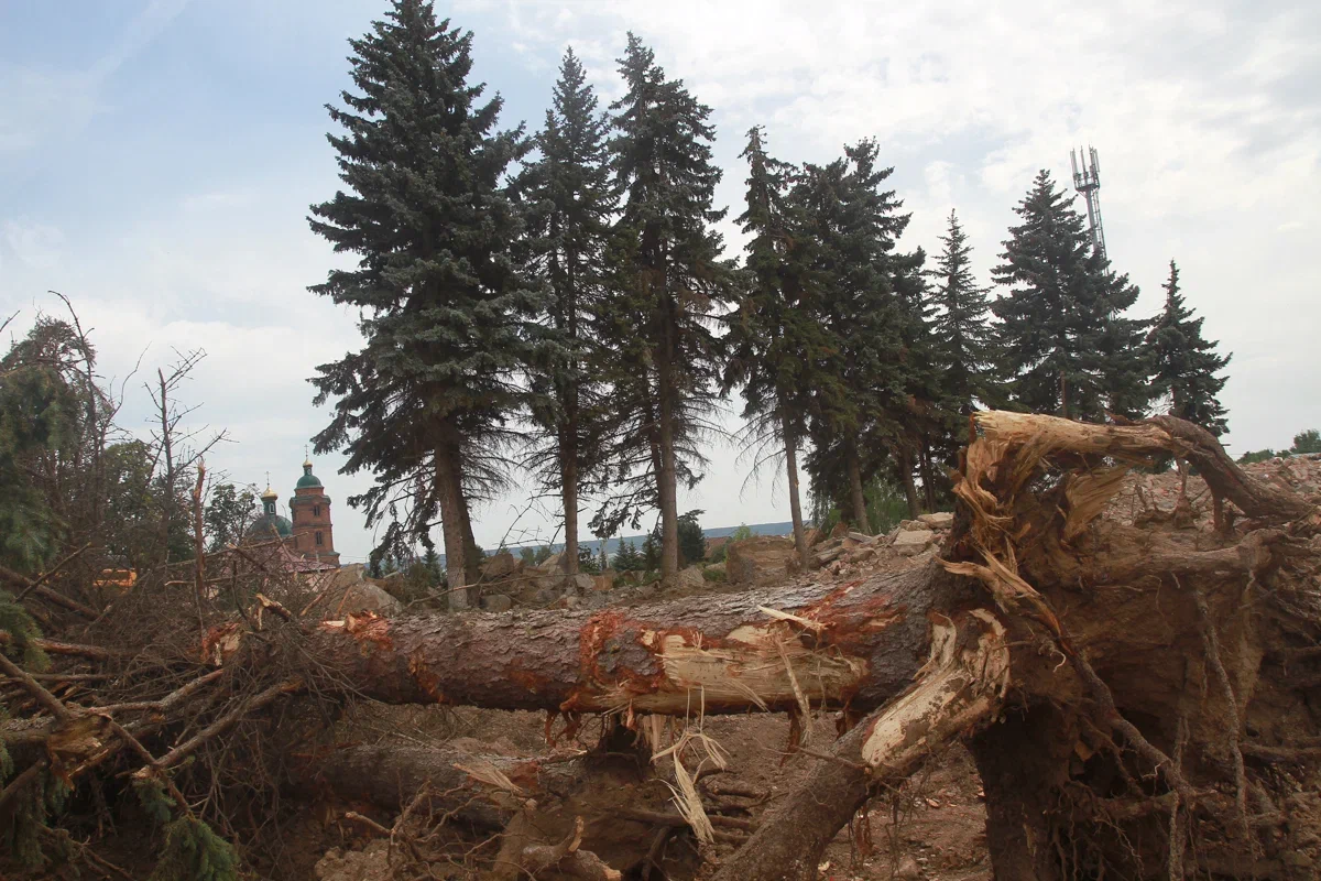 Высокая пожарная опасность лесов сохраняется в Татарстане