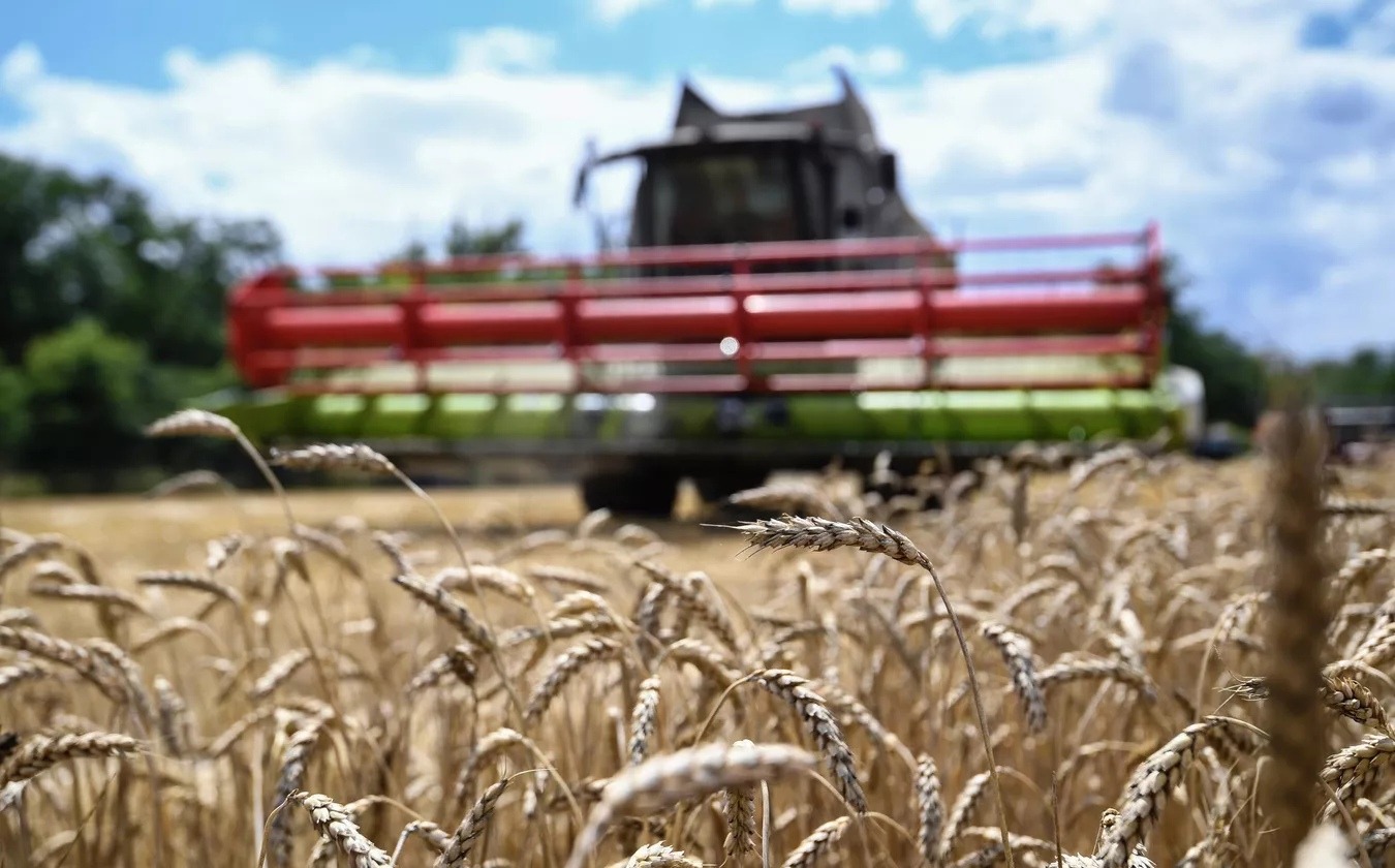 В Татарстане под урожай следующего года обработано более 894 тысяч гектаров