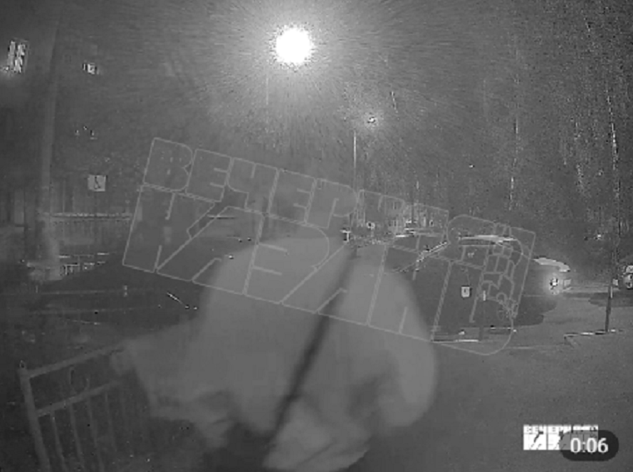 Полиция Казани ищет живодеров, скинувших котенка с верхнего этажа дома