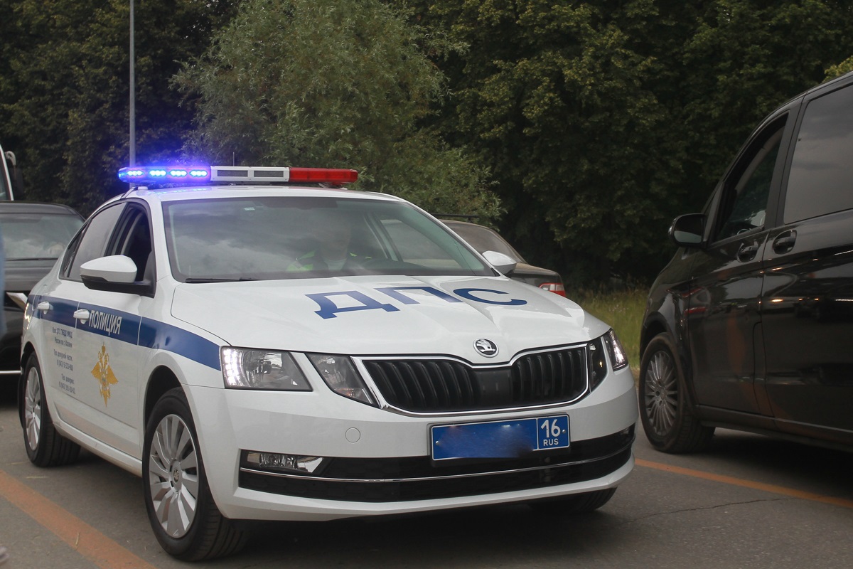 Водитель сбил двух медвежат на трассе в Актанышском районе