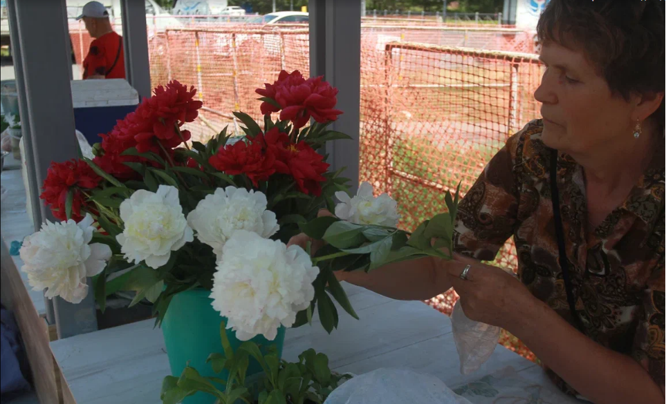 Адвокат назвал подарки, которые запрещено дарить учителям