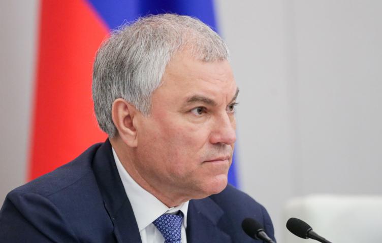 Володин: «Решение не рожать детей не подпадает под закон о чайлдфри»