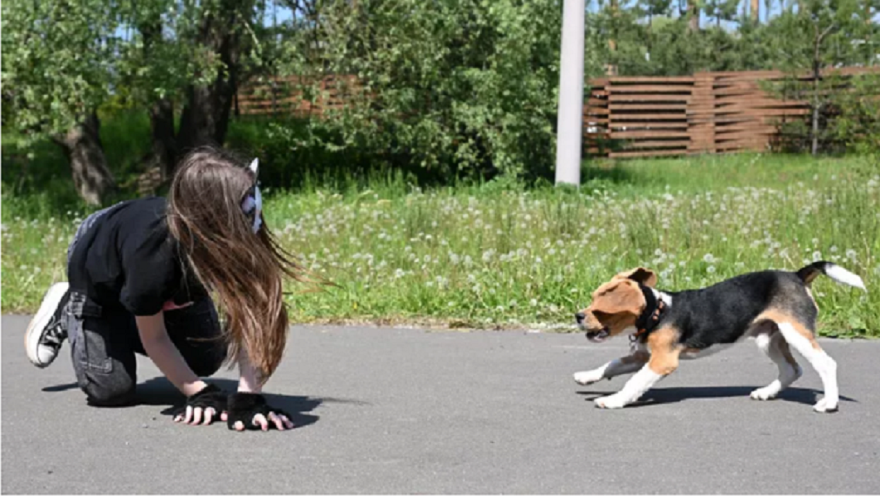 Депутаты Госдумы создают законопроект о запрете пропаганды квадроберства