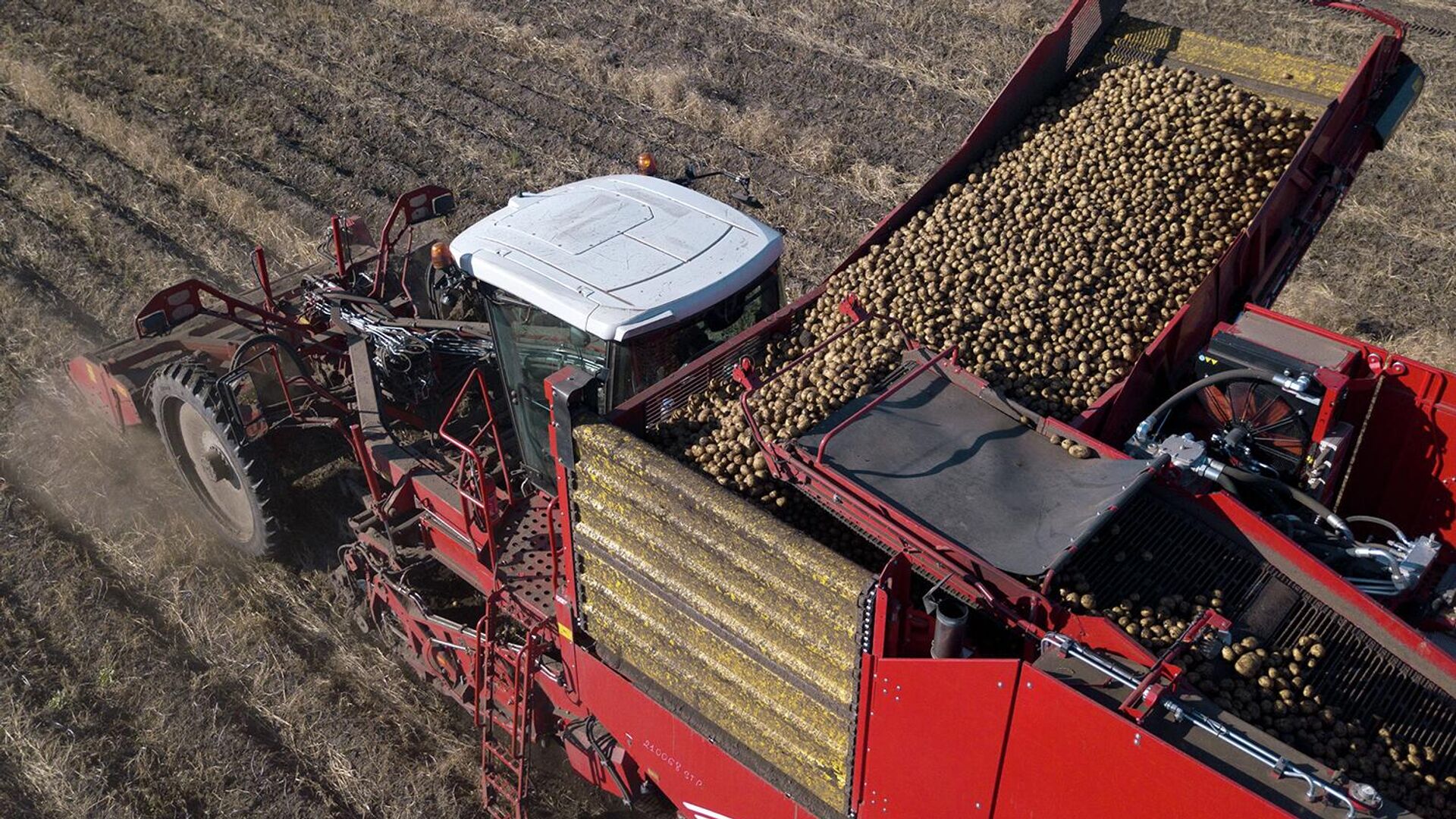 Сбербанк в Татарстане поддерживает агропромышленный комплекс