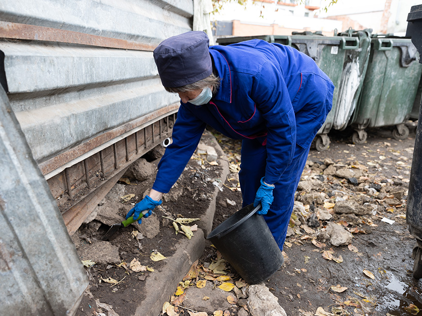 Осенняя борьба с грызунами в Казани пройдет на территории почти 1,2 тысячи га