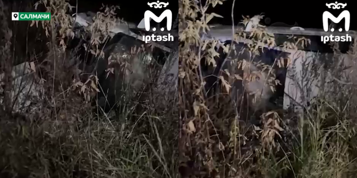 Поселок под Салмачами остался без света из-за ДТП с иномаркой