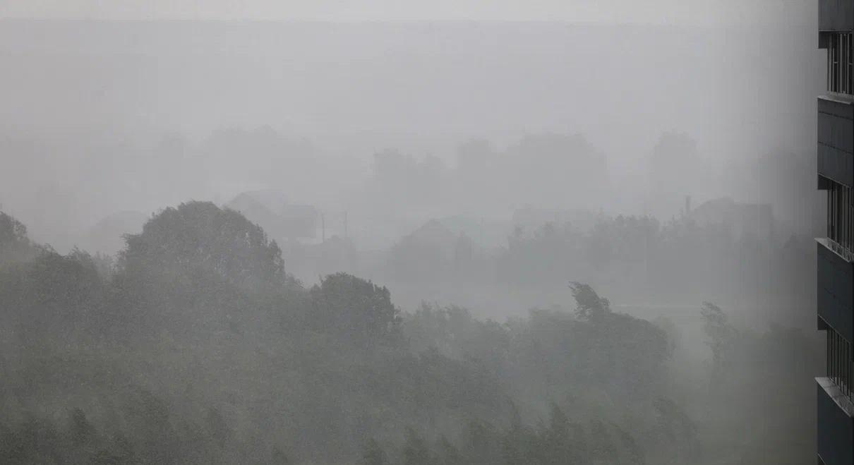 Синоптики предупредили о тумане и гололедице в Татарстане