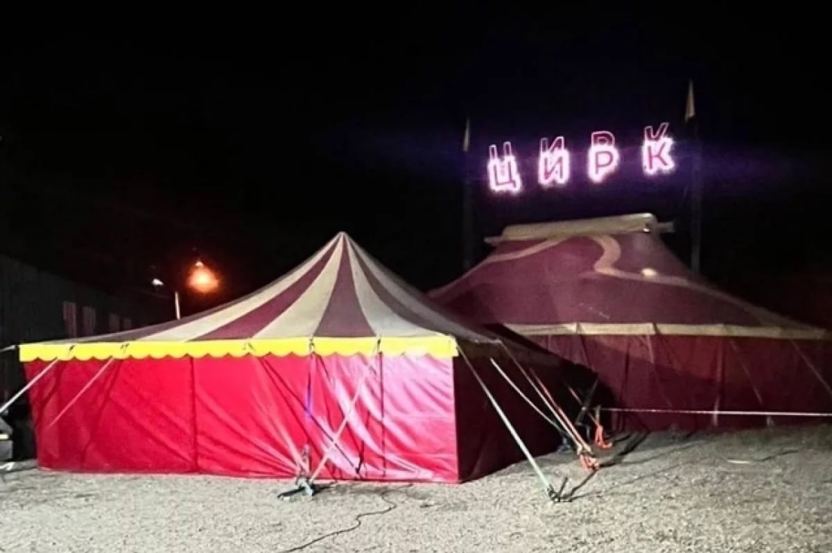 Пантера напала на 3-летнего мальчика в цирке в Иркутской области