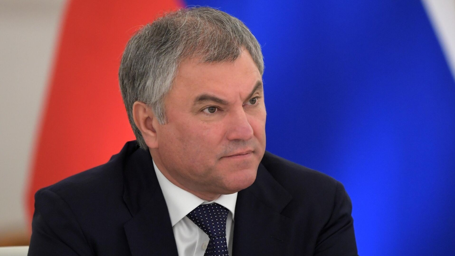 Володин: «Принятые законы снизят число преступлений в сфере незаконной миграции»