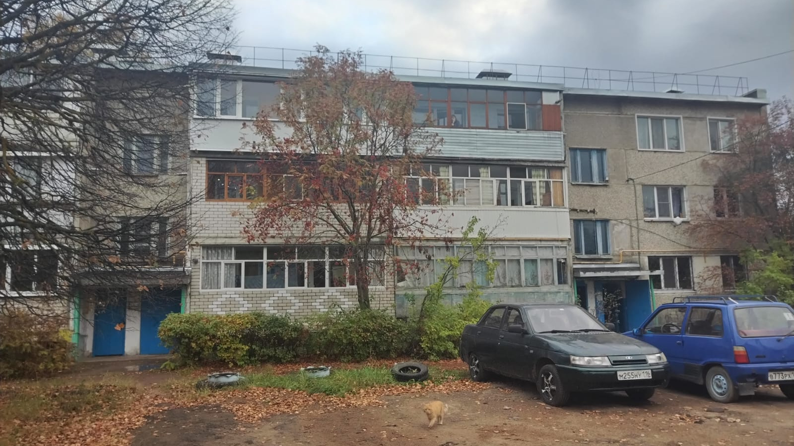 Житель Татарстана погиб из-за включенной конфорки газовой плиты