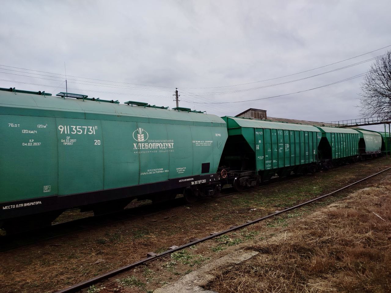 Из Кукмора в Египет отправился первый «грузовой экспресс» с ячменем