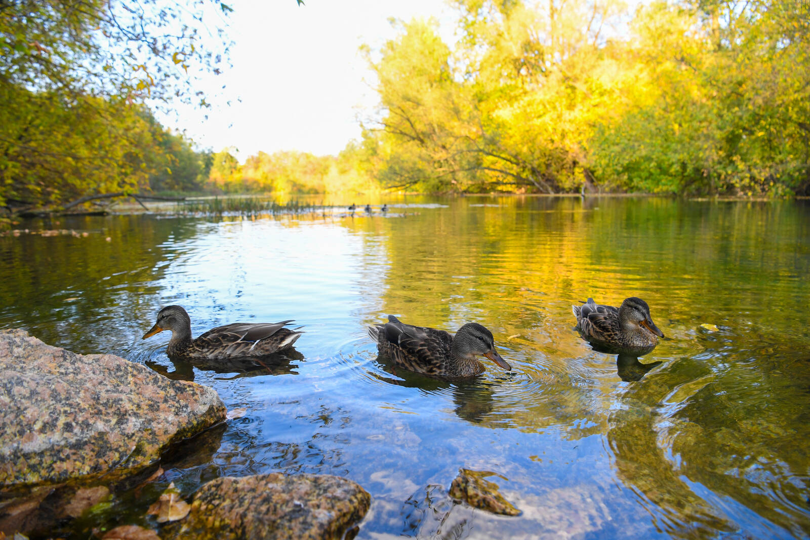 В Татарстане определились с платой за вход на Голубые озера