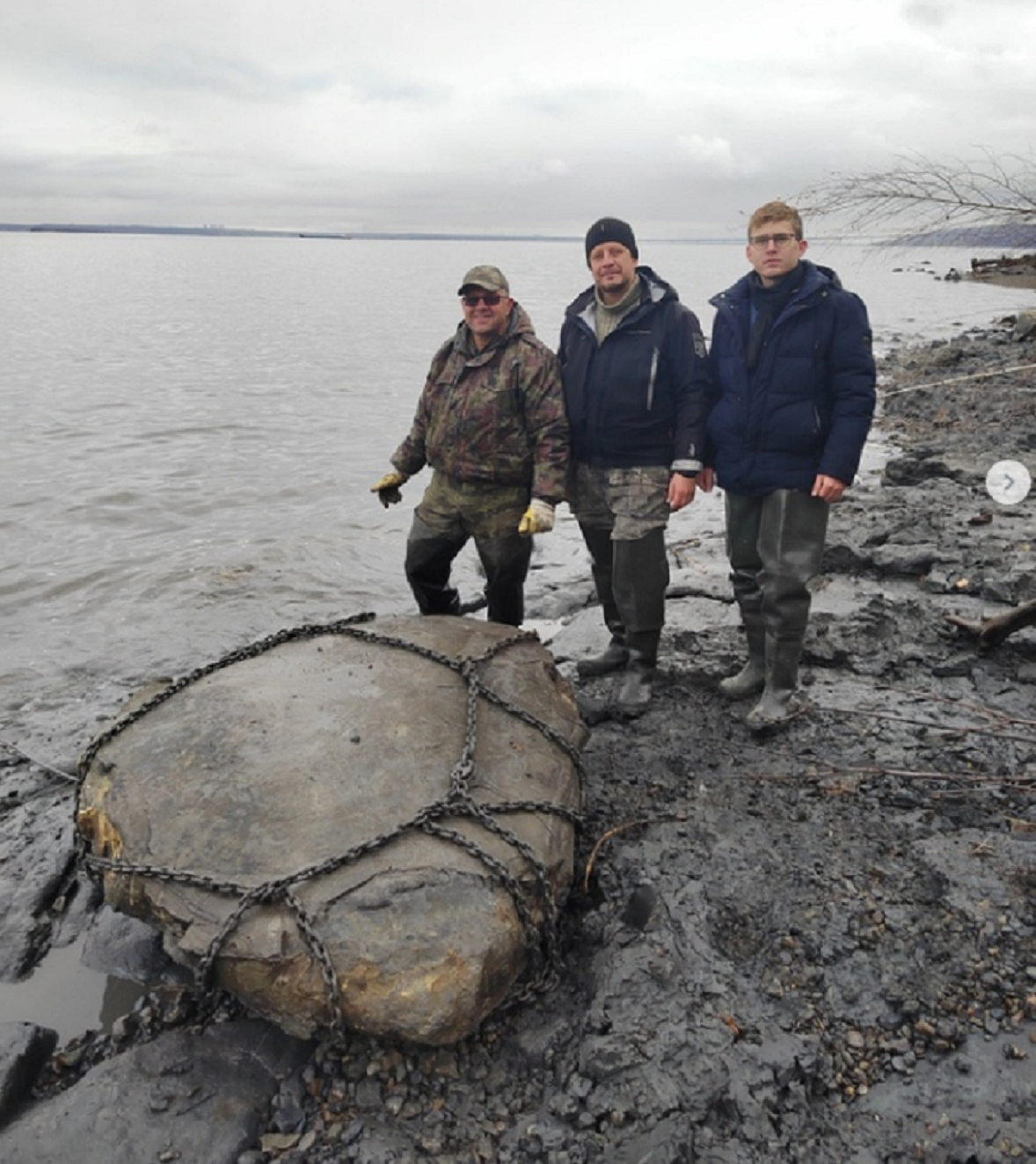 На Волге рядом с Татарстаном нашли скелет плиозавра