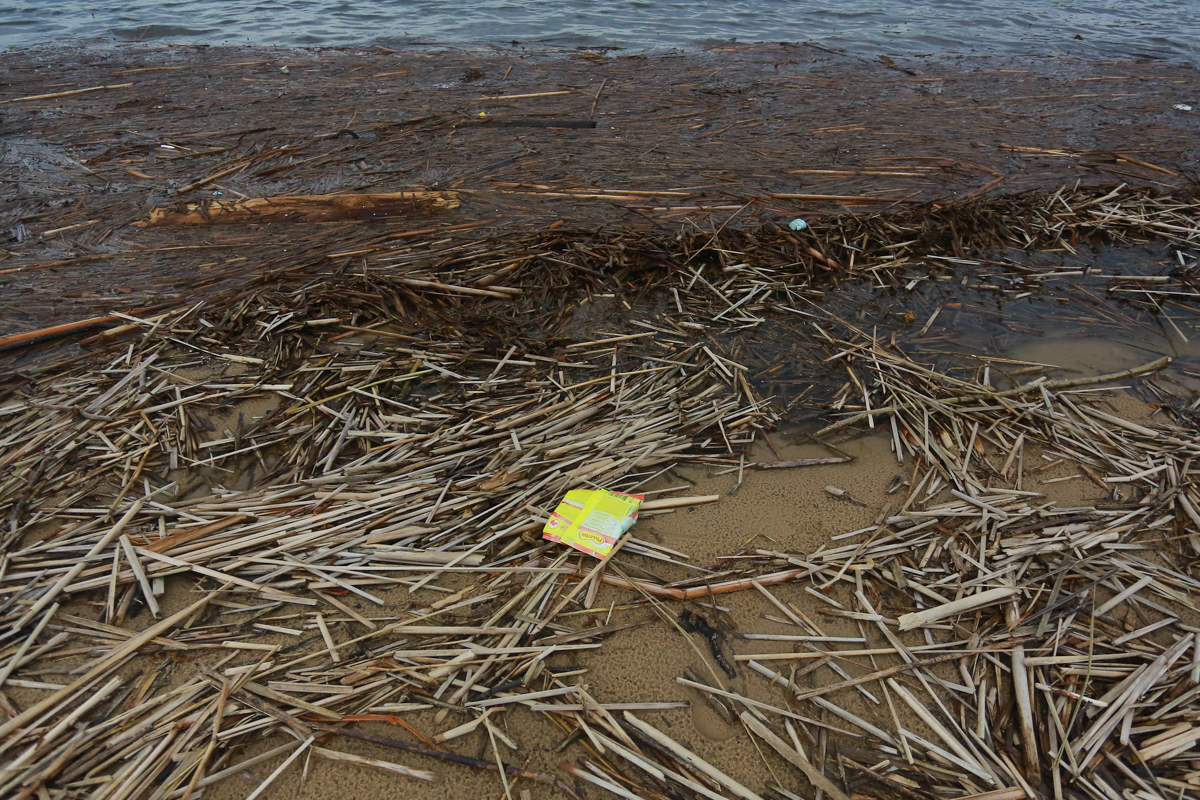 Экологи с начала года разобрались с 7,5 тысячи обращений татарстанцев