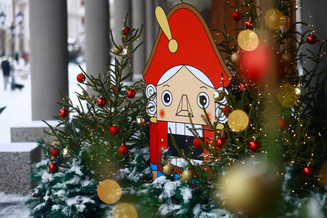 Новогодние праздники в России продлятся 11 дней, напомнила юрист Яковлева