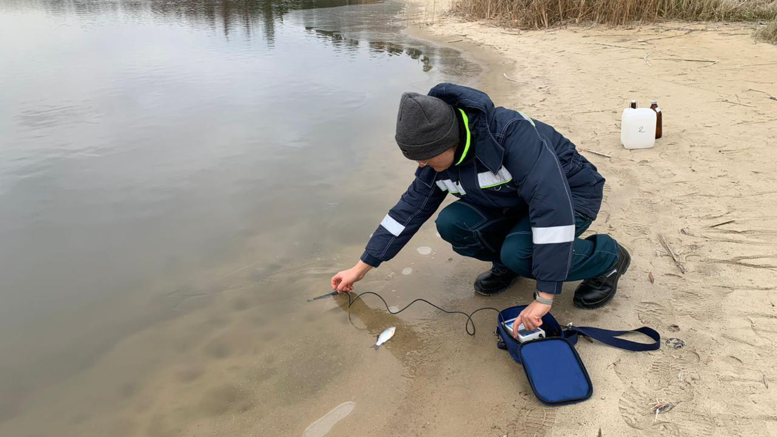Прокуратура заинтересовалась массовой гибелью рыбы на Лебяжьем озере в Казани