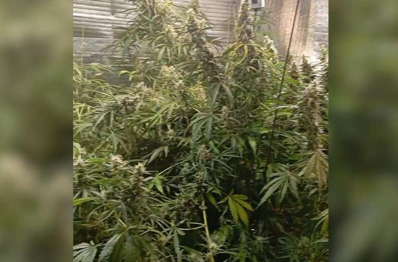 Подпольную нарколабораторию разгромили полицейские в Казани