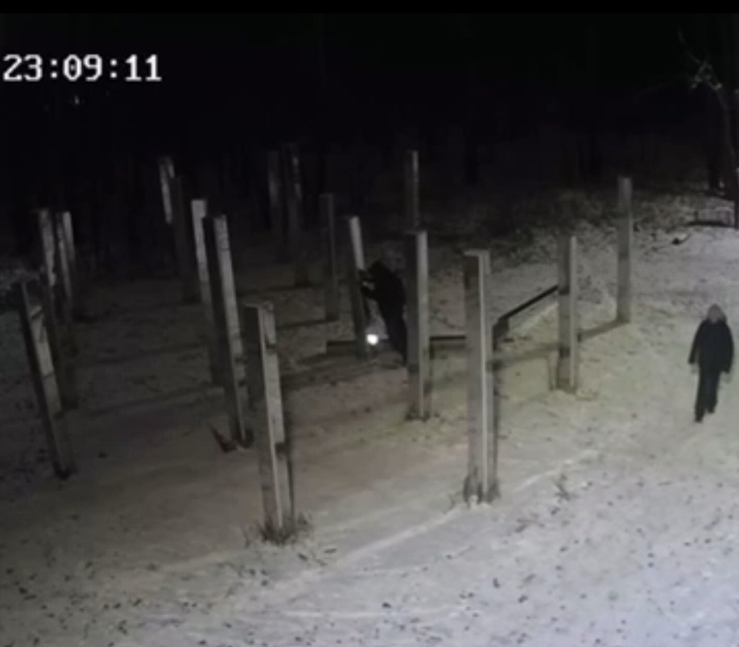 В Казани ищут вандала, разгромившего лабиринт в Горкинско-Ометьевском лесу