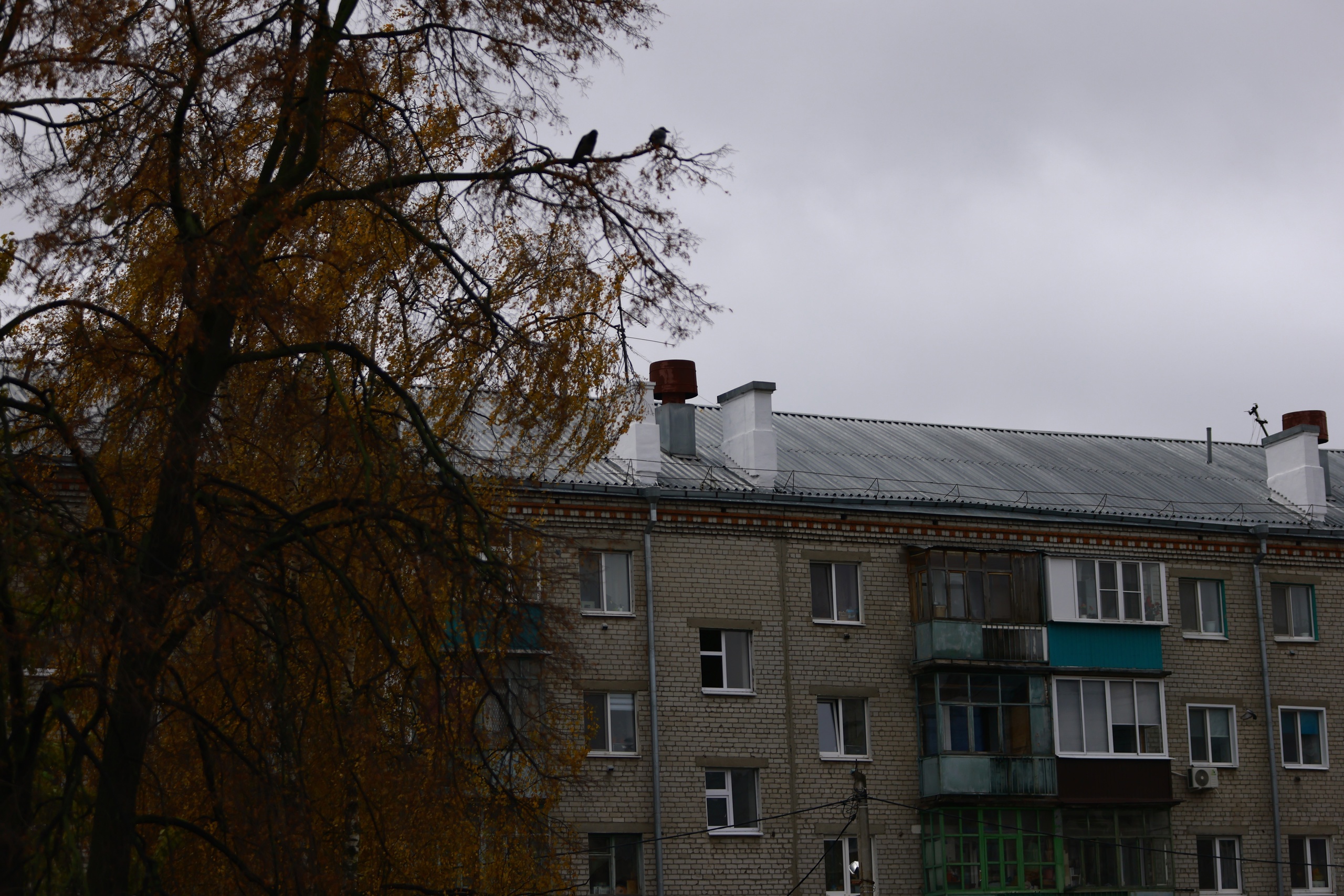 Татарстанцев предупредили о сильном ветре