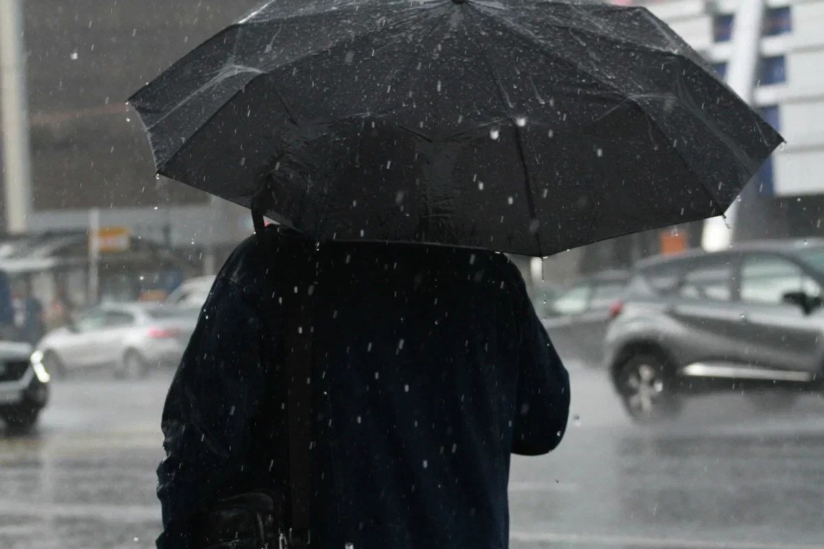 В МЧС рассказали о последствиях штормового ветра в Татарстане