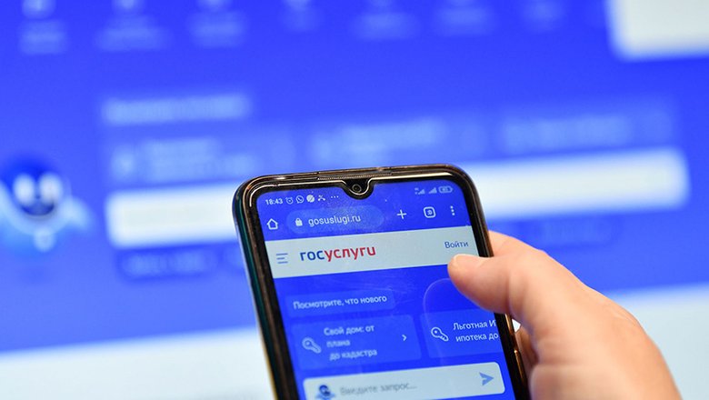 Депутаты Даванков и Ткачев хотят сообщать о схемах мошенничества в Госуслугах