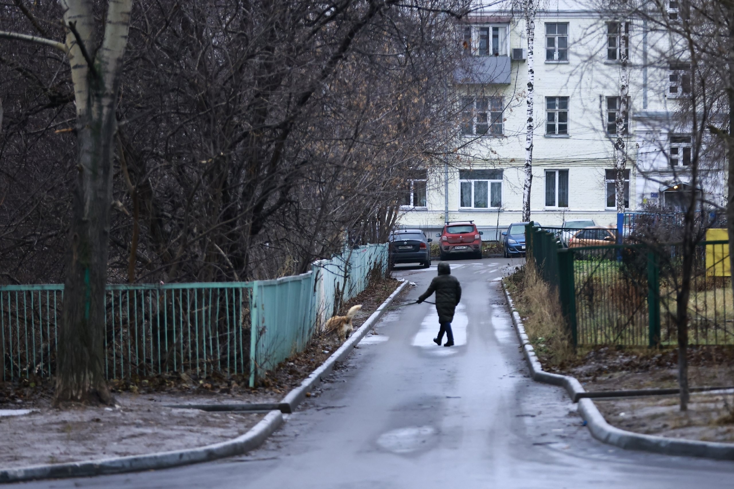 До конца недели снега в Казани не ожидается