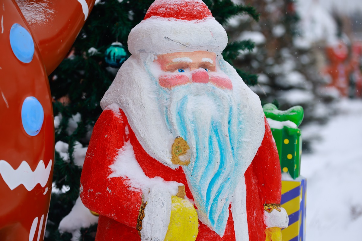 Татарстанцам подсчитали стоимость новогоднего корпоратива в загородном доме