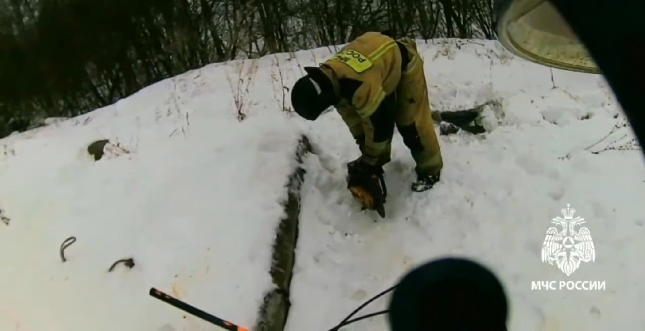 Спасатели в Нижнекамске вызволили собак из бетонной «тюрьмы»