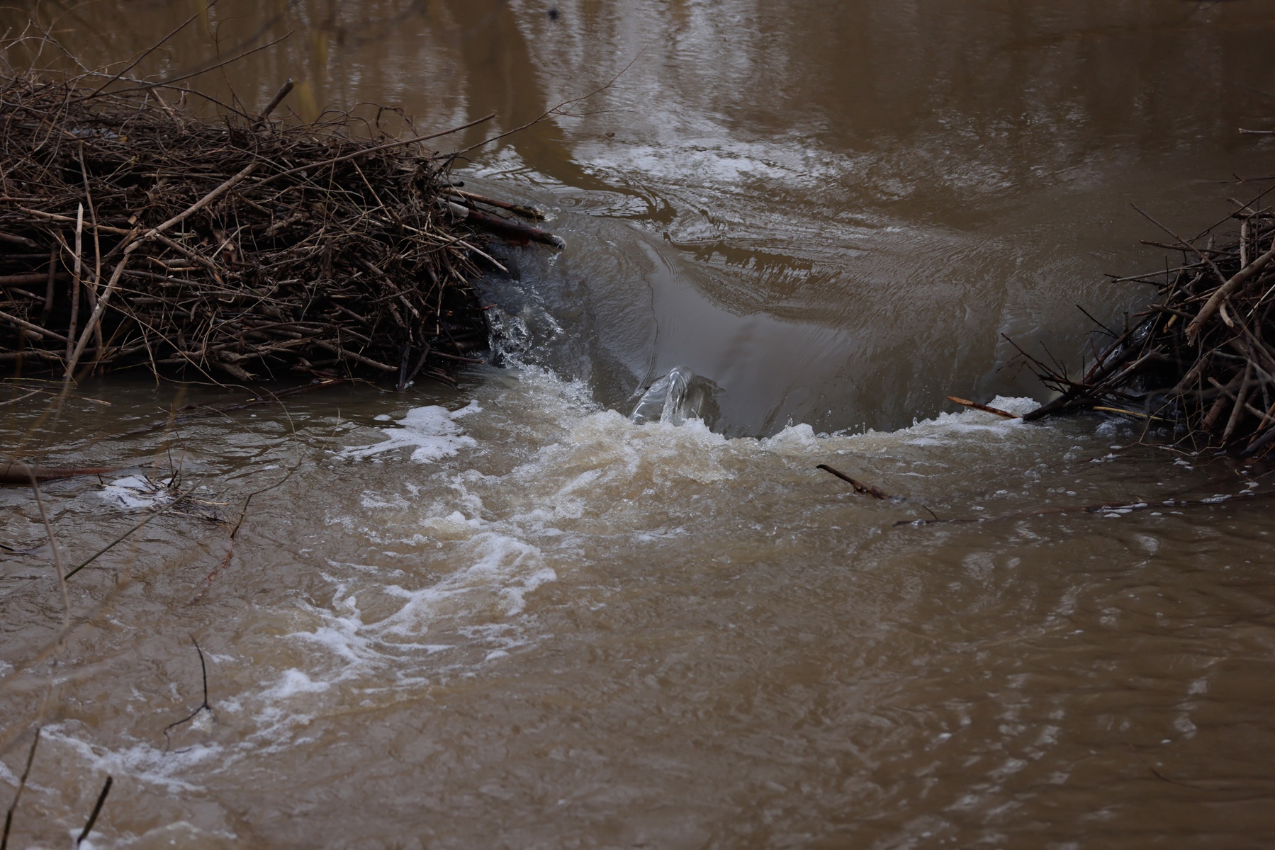 На новый экологический нацпроект Татарстану уже выделили 2,6 млрд рублей