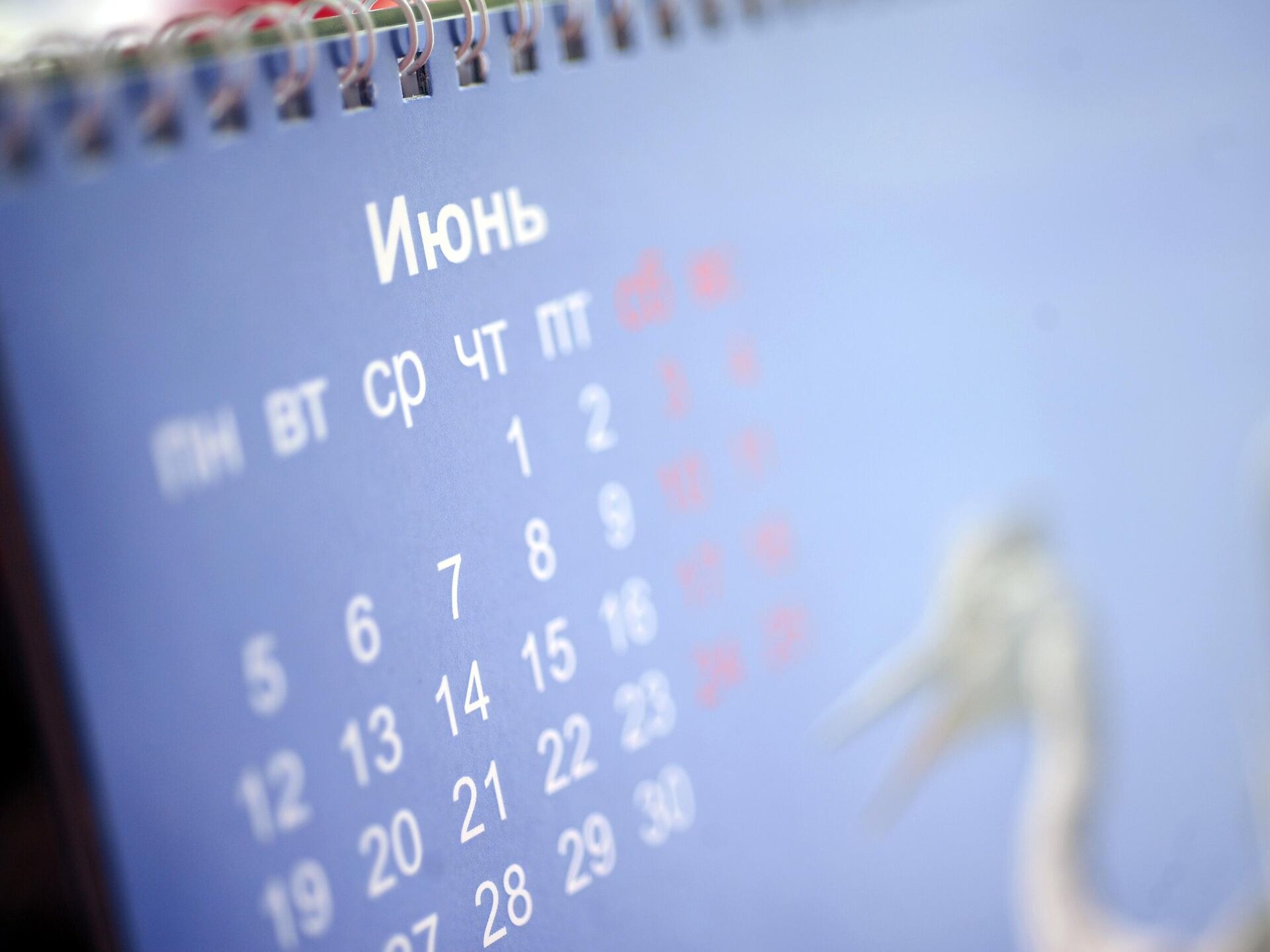 Даты праздников и выходных дней в России на 2025 год утверждены