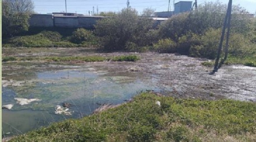 За нанесенный природе вред сельский исполком в Татарстане выплатит 2,7 миллиона