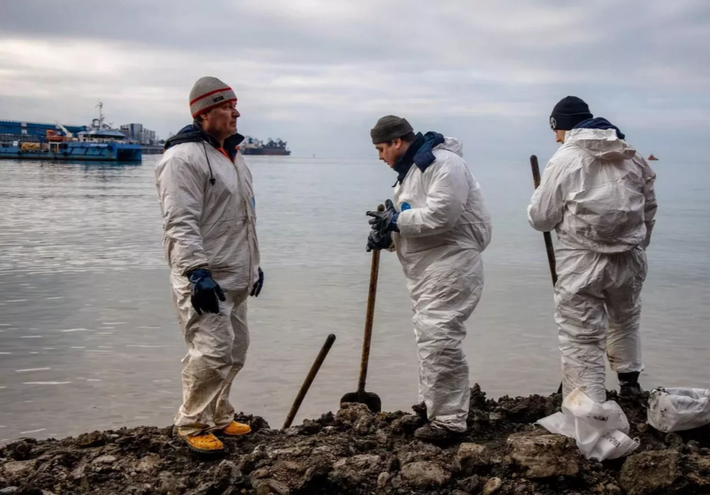 Океанолог оценил сроки восстановления морской экосистемы после ЧП с мазутом