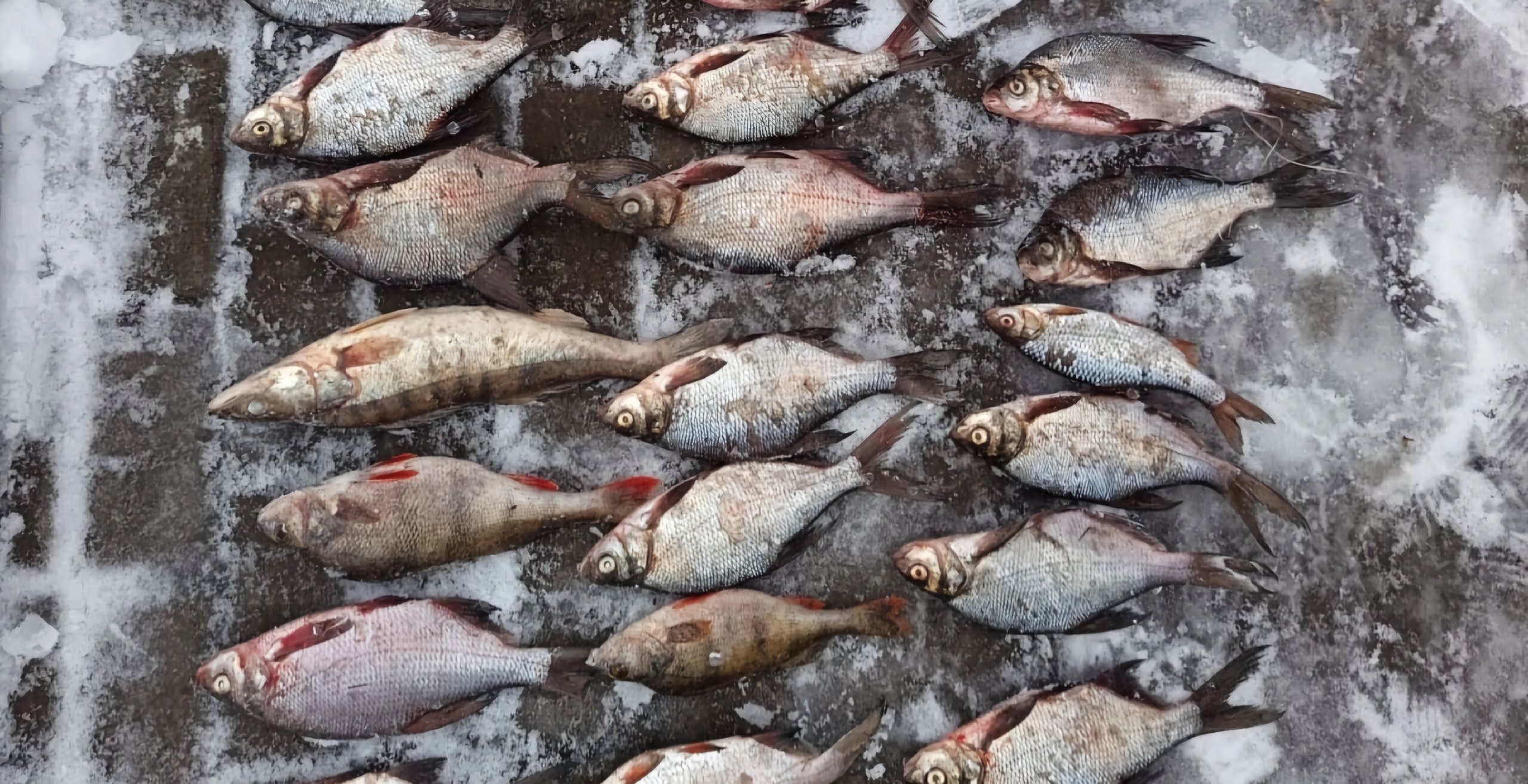 За 20 выловленных рыб татарстанцу грозит срок до двух лет