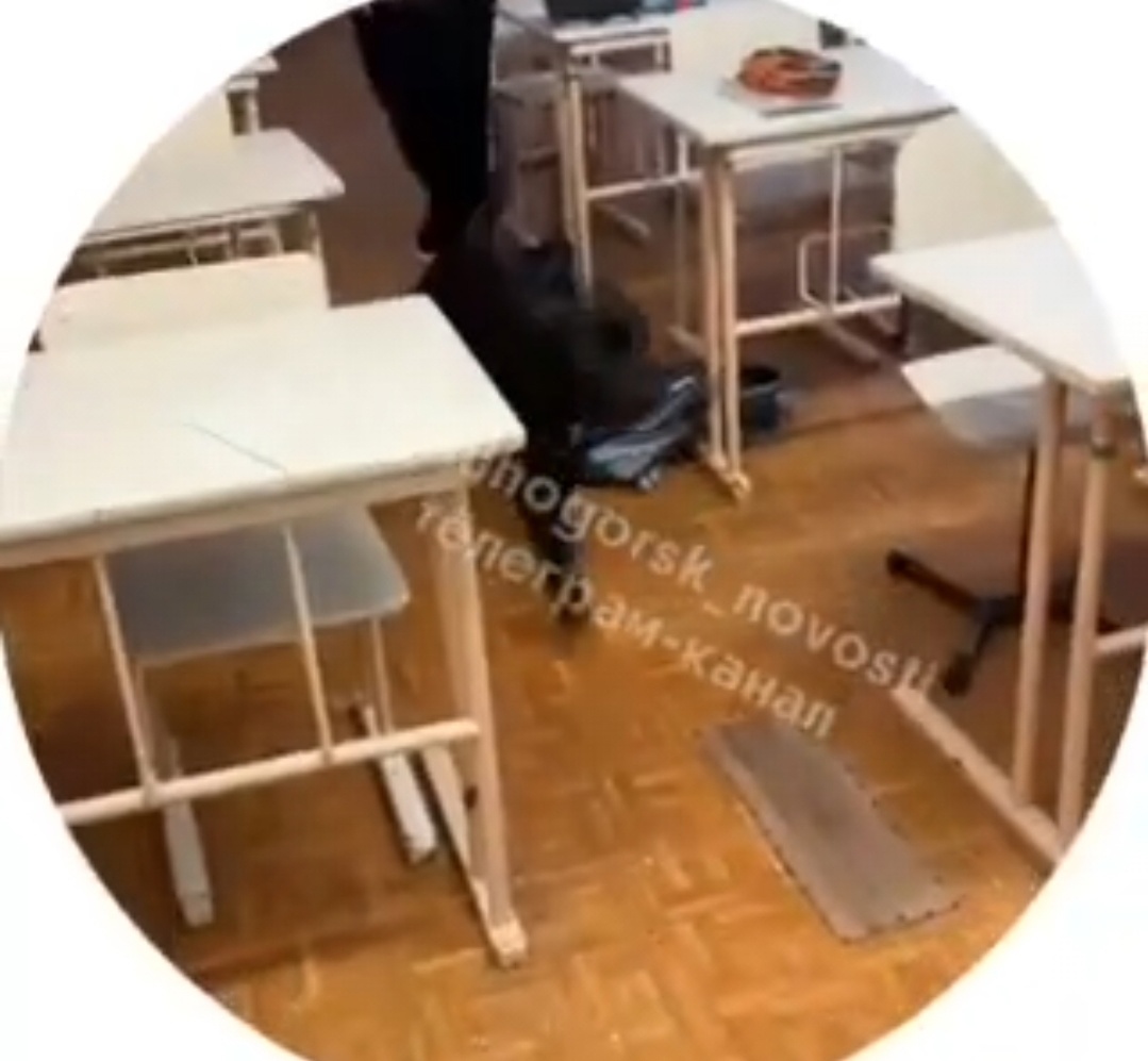 Щенок питбультерьера, забежавший в школу в Лениногорске, напугал учеников