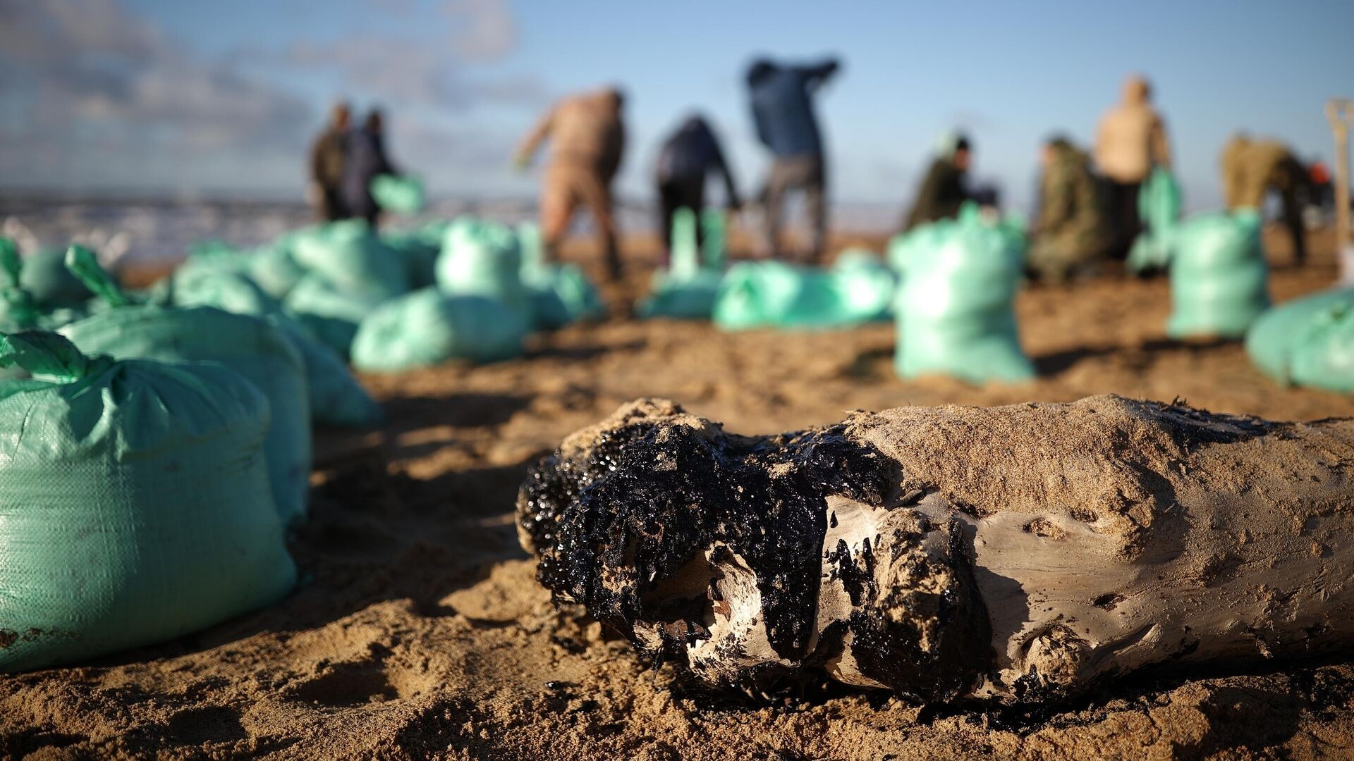 Черноморская рыба безопасна для здоровья, заявляет Росрыболовство