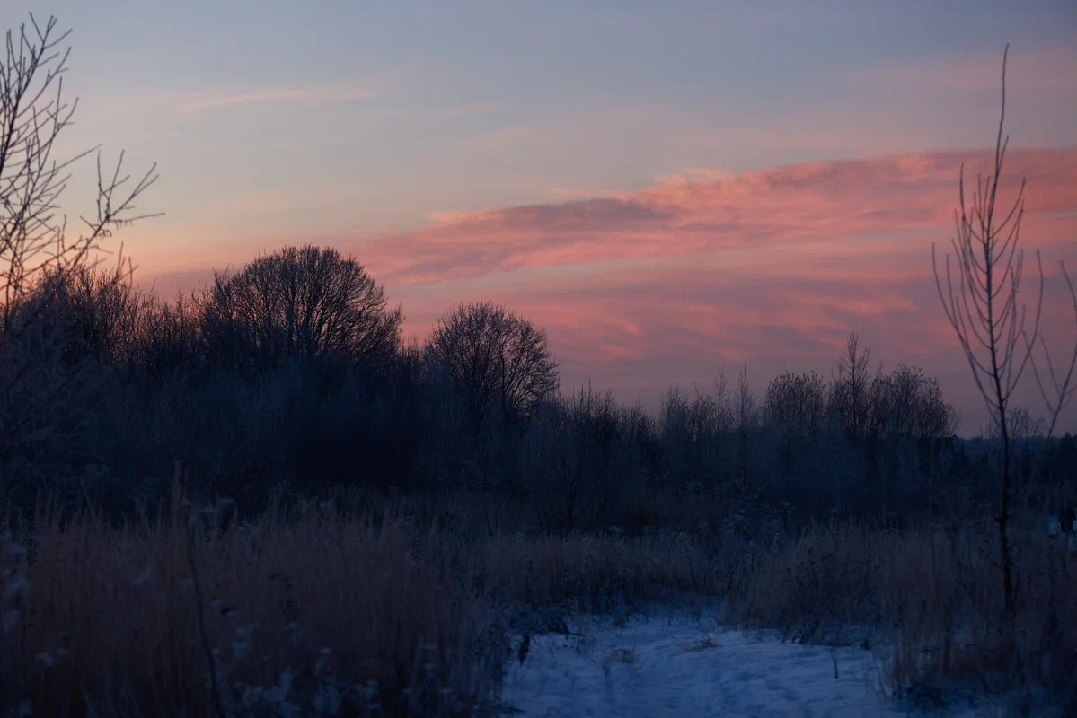 День студента в Казани обещает быть туманным и пасмурным
