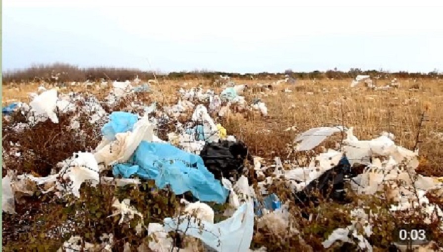 Власти Камско-Устьинского района обязали убрать свалки отходов