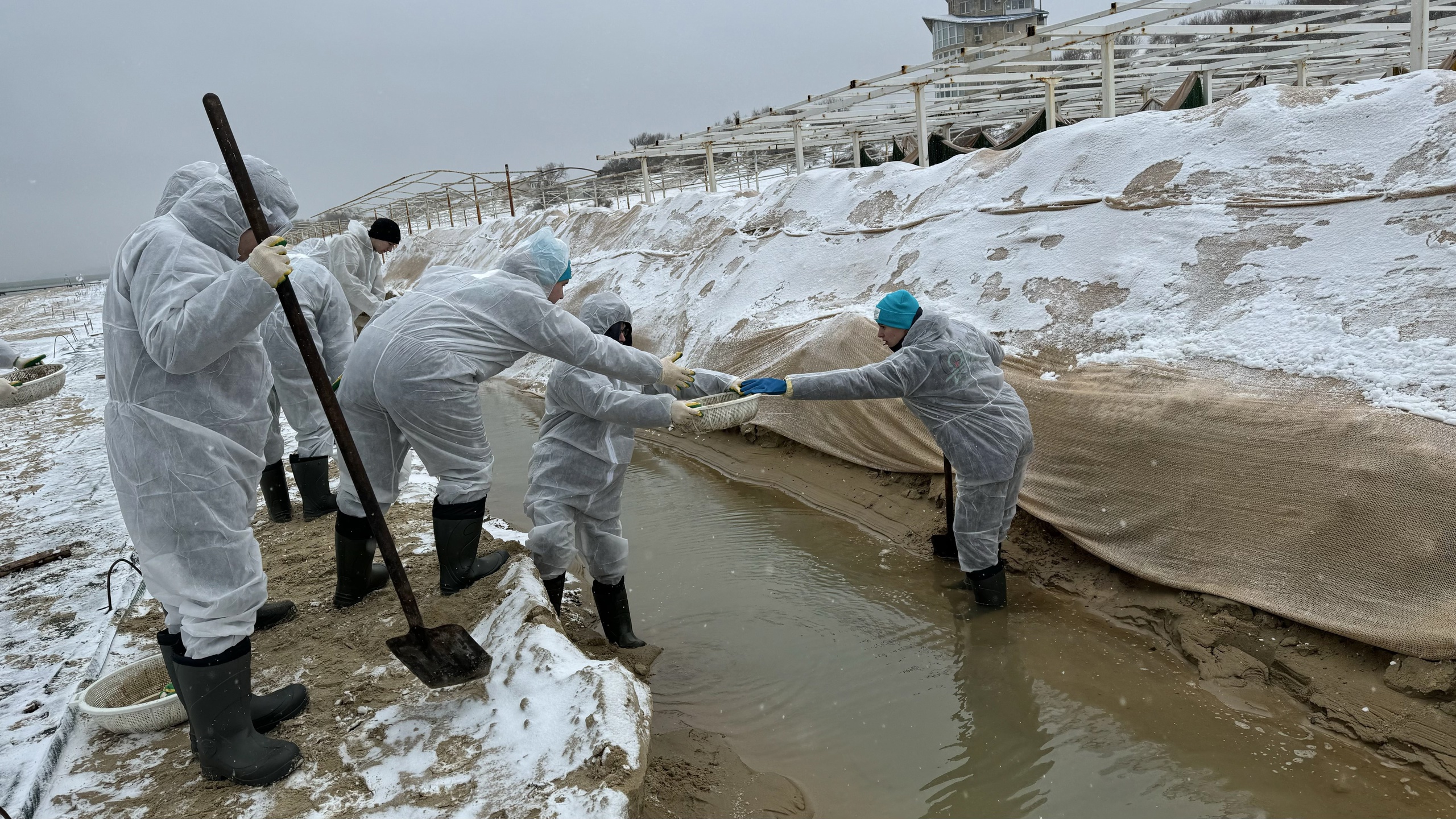 Первые 35 студентов из Татарстана начали очищать берег Черного моря от мазута