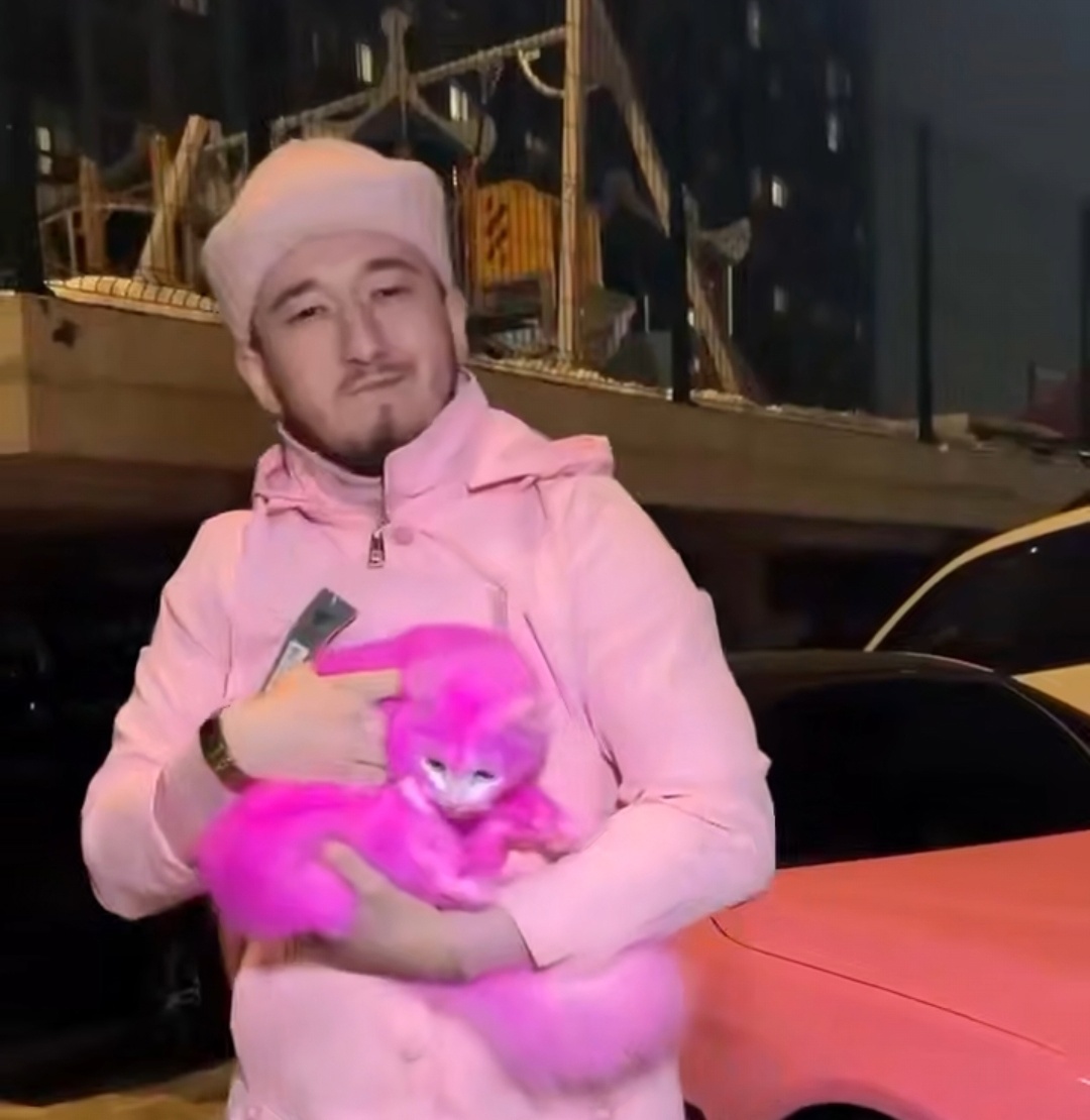 Казанский блогер покрасил кошку в розовый цвет