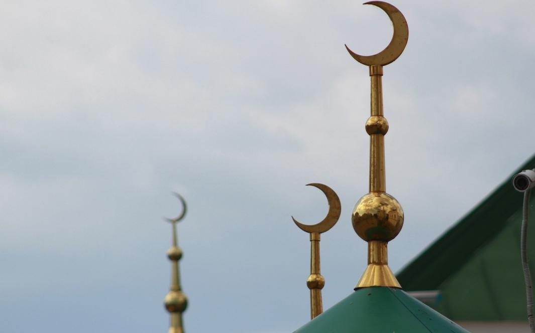 Молочную компанию в Казани профинансируют за счет «цифровой мударабы»