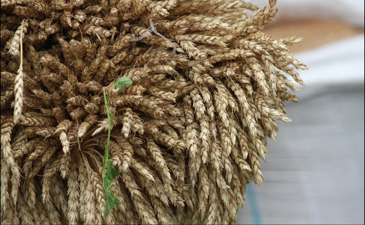 В Минсельхозпроде Татарстана рассказали о подготовке к весенне-полевым работам