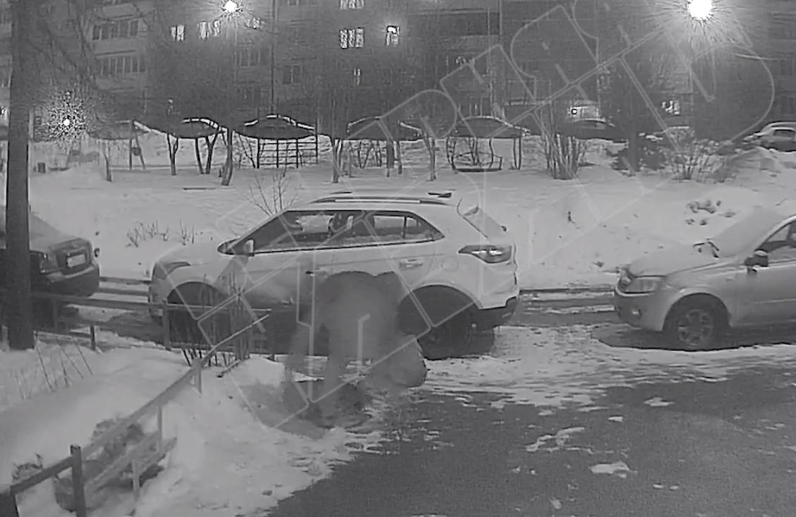 На улице Минской в Казани мужчина избил собаку и попал на видео