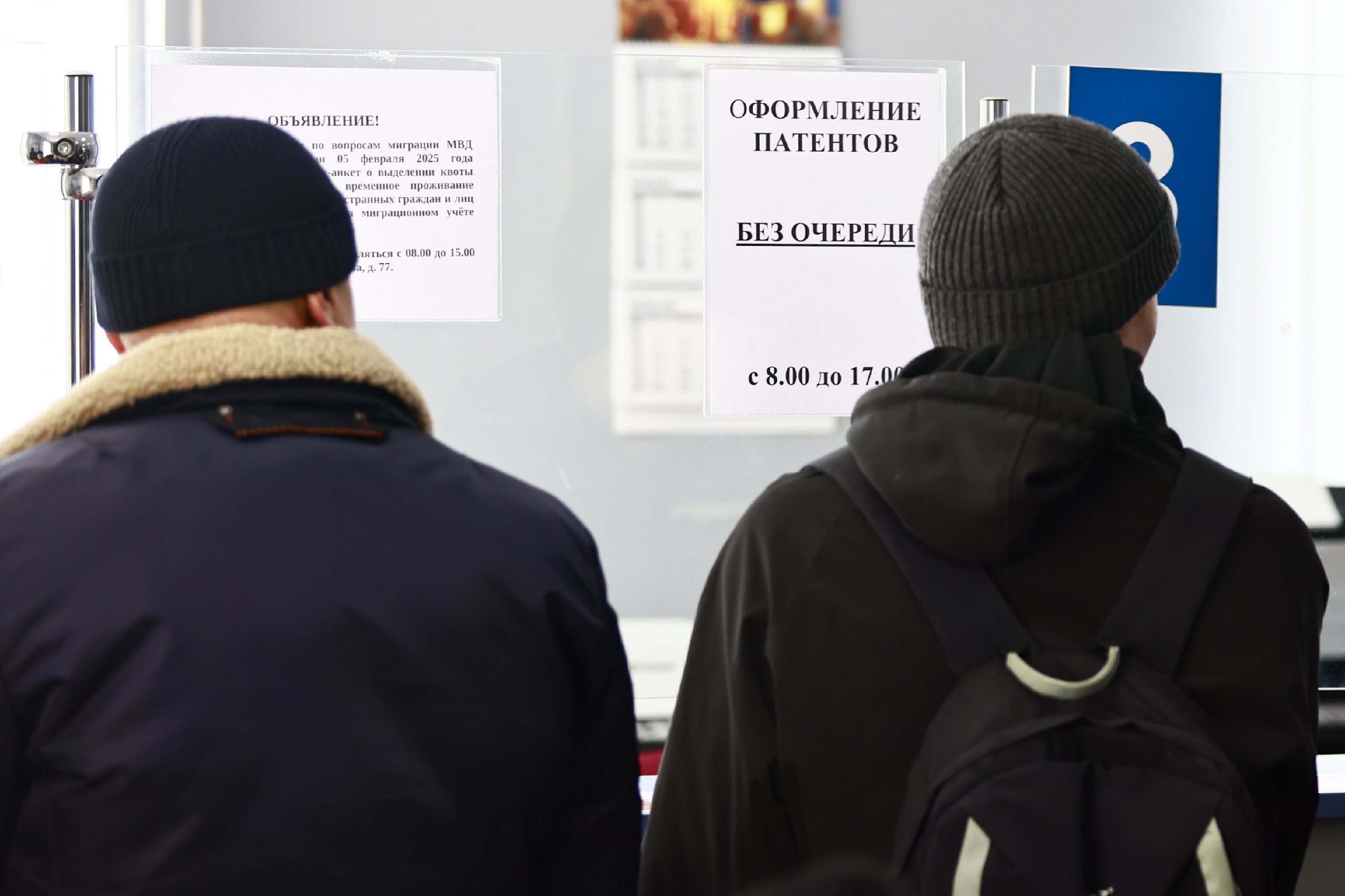 Мигрантов обяжут указывать профессию при выдаче патента на работу