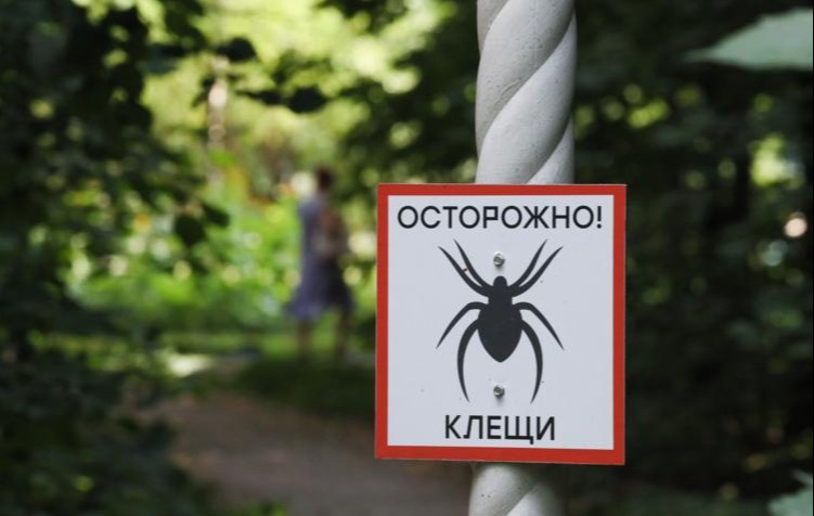 В Татарстане начался сезон активности клещей: рекомендации Роспотребнадзора